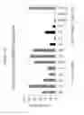 Fig. 19 - Methods and compositions for selecting siRNA of improved functionality