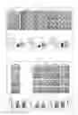 Fig. 07 - CHORION-DERIVED MSCS CELLS AND CONDITIONED MEDIA AS INDUCER FOR ANGIOGENESIS APPLICATION FOR THE TREATMENT OF CARDIAC DEGENERATION.