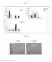 Fig. 08 - CHORION-DERIVED MSCS CELLS AND CONDITIONED MEDIA AS INDUCER FOR ANGIOGENESIS APPLICATION FOR THE TREATMENT OF CARDIAC DEGENERATION.