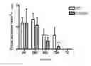 Fig. 07 - STEM CELL MICROPARTICLES AND miRNA