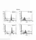 Fig. 10 - STEM CELL MICROPARTICLES AND miRNA