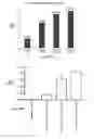 Fig. 13 - STEM CELL MICROPARTICLES AND miRNA