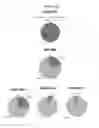 Fig. 20 - STEM CELL MICROPARTICLES AND miRNA