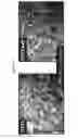 Fig. 28 - STEM CELL MICROPARTICLES AND miRNA