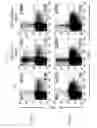 Fig. 04 - Human-derived bacteria that induce proliferation or accumulation of regulatory T cells