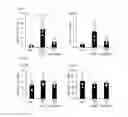 Fig. 05 - Human-derived bacteria that induce proliferation or accumulation of regulatory T cells