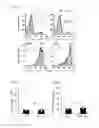 Fig. 06 - Human-derived bacteria that induce proliferation or accumulation of regulatory T cells