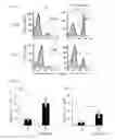 Fig. 07 - Human-derived bacteria that induce proliferation or accumulation of regulatory T cells