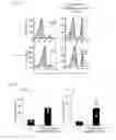 Fig. 08 - Human-derived bacteria that induce proliferation or accumulation of regulatory T cells