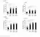Fig. 12 - Human-derived bacteria that induce proliferation or accumulation of regulatory T cells