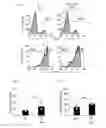 Fig. 13 - Human-derived bacteria that induce proliferation or accumulation of regulatory T cells