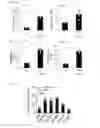 Fig. 17 - Human-derived bacteria that induce proliferation or accumulation of regulatory T cells