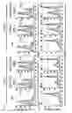 Fig. 02 - Human-derived bacteria that induce proliferation or accumulation of regulatory T cells