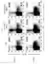 Fig. 04 - Human-derived bacteria that induce proliferation or accumulation of regulatory T cells