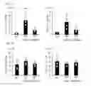 Fig. 05 - Human-derived bacteria that induce proliferation or accumulation of regulatory T cells