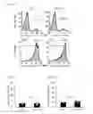 Fig. 06 - Human-derived bacteria that induce proliferation or accumulation of regulatory T cells