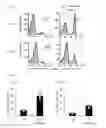 Fig. 07 - Human-derived bacteria that induce proliferation or accumulation of regulatory T cells