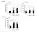 Fig. 10 - Human-derived bacteria that induce proliferation or accumulation of regulatory T cells