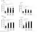 Fig. 12 - Human-derived bacteria that induce proliferation or accumulation of regulatory T cells