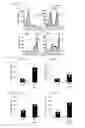Fig. 15 - Human-derived bacteria that induce proliferation or accumulation of regulatory T cells