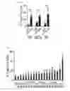 Fig. 20 - Human-derived bacteria that induce proliferation or accumulation of regulatory T cells