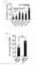 Fig. 21 - Human-derived bacteria that induce proliferation or accumulation of regulatory T cells