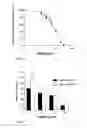 Fig. 03 - Use of Extracts or Materials Extracted From Piper Cubeba L. as an Effective Component in a Drug for the Treatment of Cancer Diseases