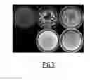 Fig. 03 - Use of a bacterium isolated from the genus , cyclolipopeptides and uses thereof