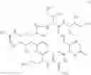 Fig. 07 - Use of a bacterium isolated from the genus , cyclolipopeptides and uses thereof