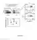 Fig. 03 - COMPOSITIONS COMPRISING E-SELECTIN ANTAGONISTS AND USES THEREFOR