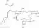 Fig. 31 - COMPOSITIONS COMPRISING E-SELECTIN ANTAGONISTS AND USES THEREFOR