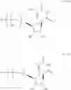 Fig. 65 - MODIFIED NUCLEOSIDE, NUCLEOTIDE, AND NUCLEIC ACID COMPOSITIONS