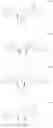 Fig. 68 - MODIFIED NUCLEOSIDE, NUCLEOTIDE, AND NUCLEIC ACID COMPOSITIONS