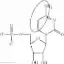 Fig. 85 - MODIFIED NUCLEOSIDE, NUCLEOTIDE, AND NUCLEIC ACID COMPOSITIONS
