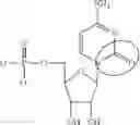 Fig. 86 - MODIFIED NUCLEOSIDE, NUCLEOTIDE, AND NUCLEIC ACID COMPOSITIONS