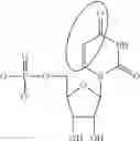 Fig. 88 - MODIFIED NUCLEOSIDE, NUCLEOTIDE, AND NUCLEIC ACID COMPOSITIONS