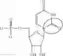 Fig. 89 - MODIFIED NUCLEOSIDE, NUCLEOTIDE, AND NUCLEIC ACID COMPOSITIONS