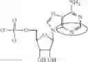 Fig. 92 - MODIFIED NUCLEOSIDE, NUCLEOTIDE, AND NUCLEIC ACID COMPOSITIONS
