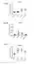Fig. 04 - Methods of using pegylated interleukin-10 for treating hyperlipidemia
