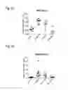 Fig. 07 - Methods of using pegylated interleukin-10 for treating hyperlipidemia