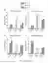 Fig. 10 - Methods of using pegylated interleukin-10 for treating hyperlipidemia