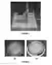 Fig. 02 - LACTOFERRIN AND MEMORY AND LEARNING SPEED IN CHILDREN