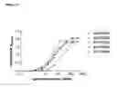 Fig. 25 - Method to generate antibodies to ion channels