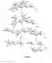 Fig. 03 - RM2 antigens and use thereof