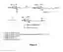 Fig. 04 - RM2 antigens and use thereof