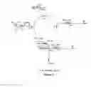 Fig. 05 - RM2 antigens and use thereof