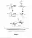 Fig. 06 - RM2 antigens and use thereof