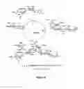 Fig. 08 - RM2 antigens and use thereof