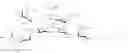 Fig. 101 - RM2 antigens and use thereof