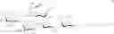 Fig. 109 - RM2 antigens and use thereof